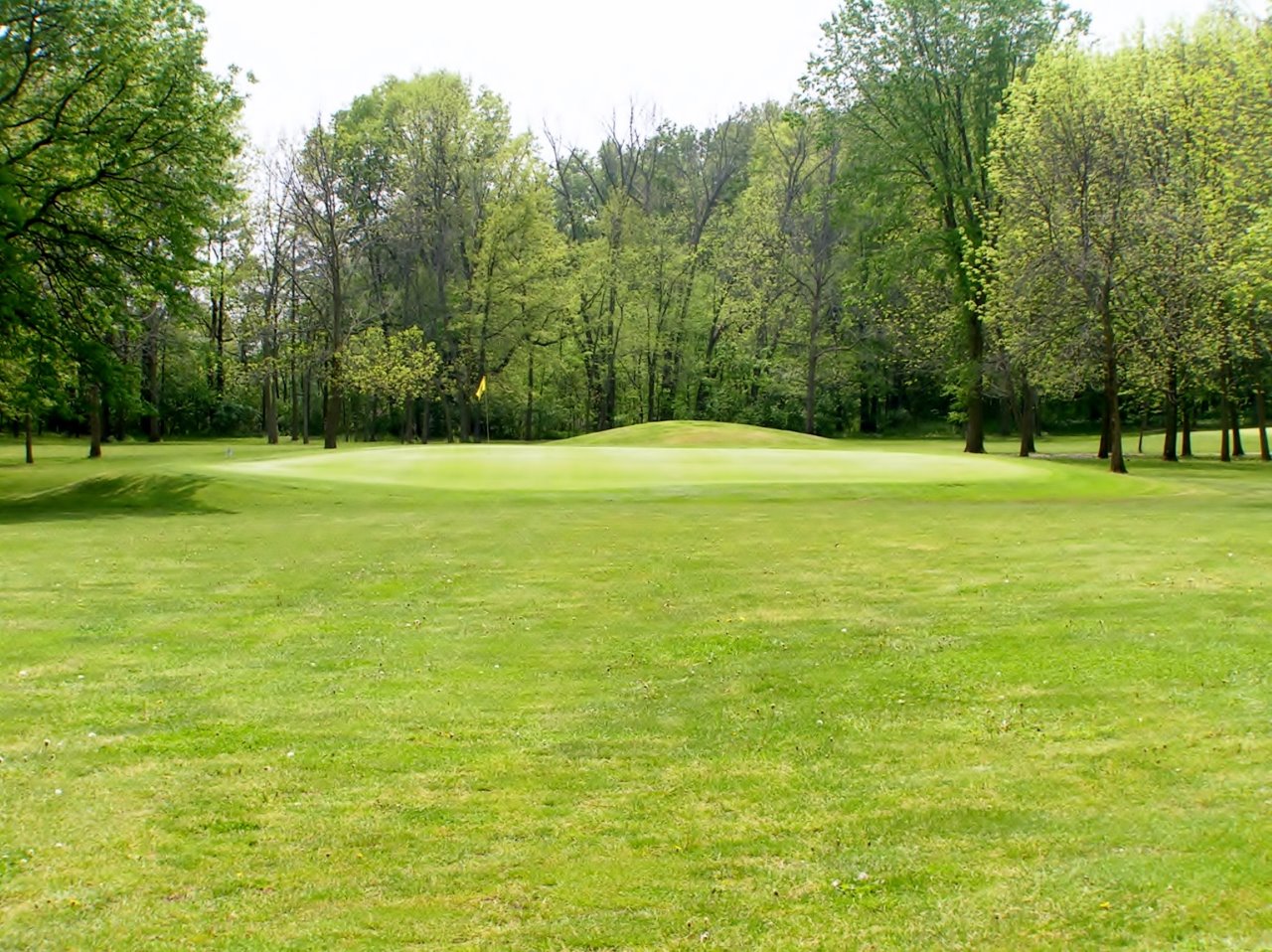 Course Photos Timberview Golf Club